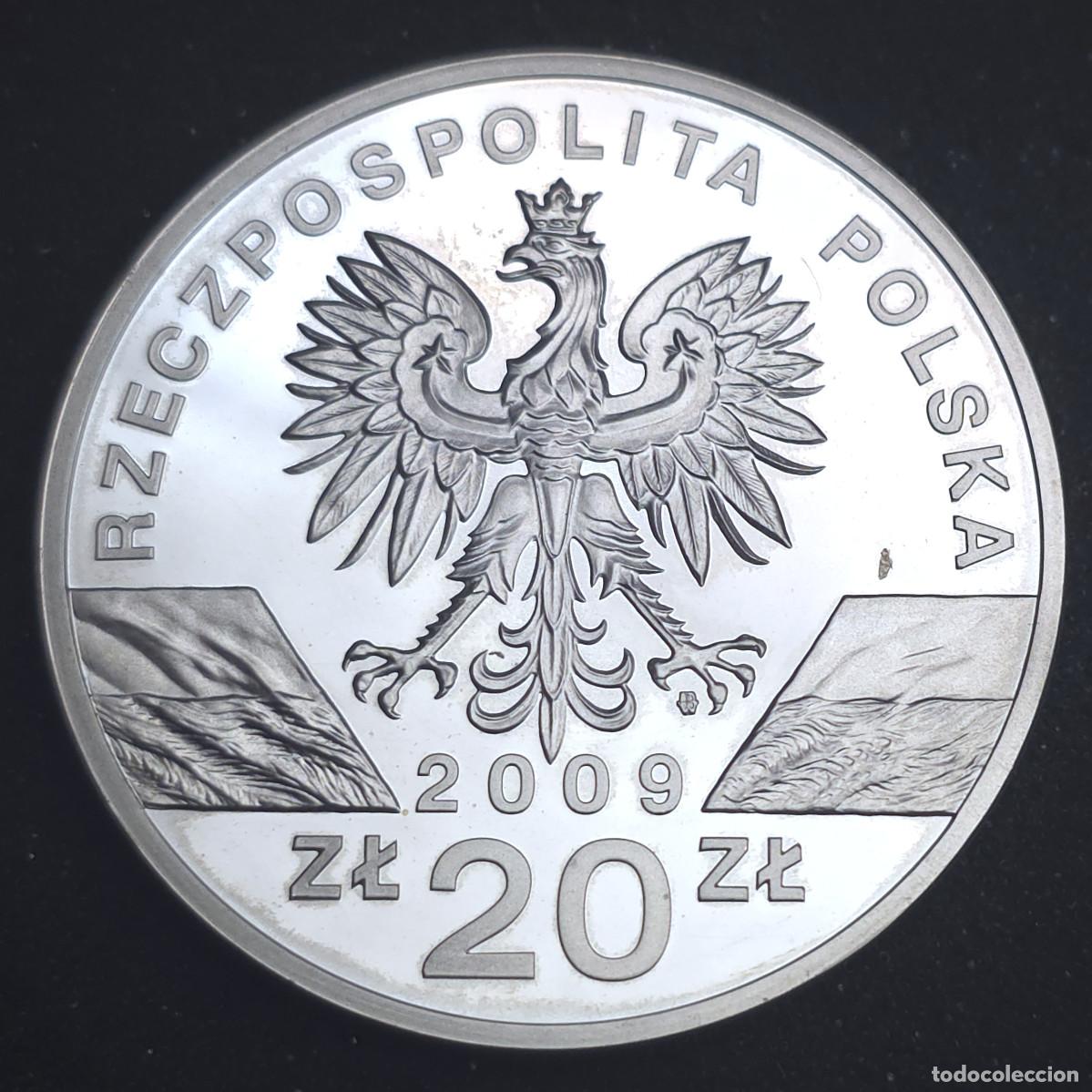 Monedas antiguas de Europa: MONEDA DE PLATA 20 ZLOTY 2009 LAGARTO VERDE EUROPEO PROOF
