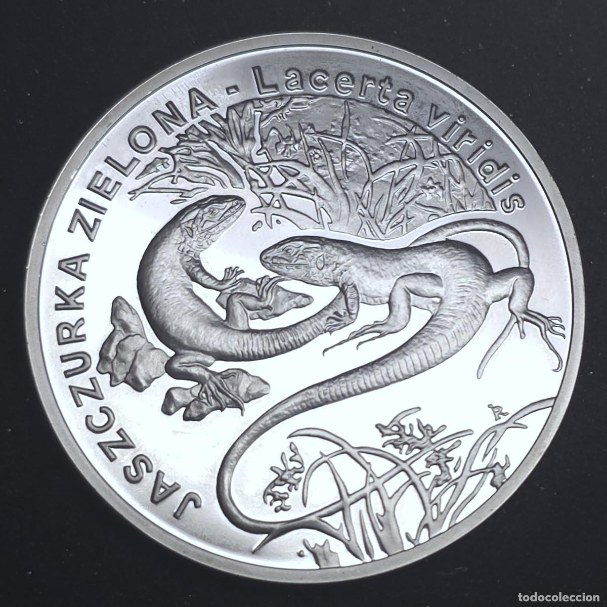 Old Coins of Europe: MONEDA DE PLATA 20 ZLOTYS 2009 LAGARTO VERDE EUROPEO PROOF