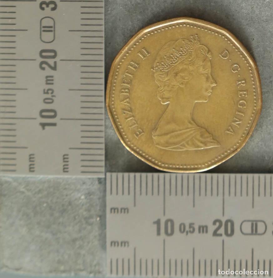 Monedas antiguas de Europa: MONEDA. Canad&aacute; - 1 D&oacute;lar - Elizabeth II - 1988