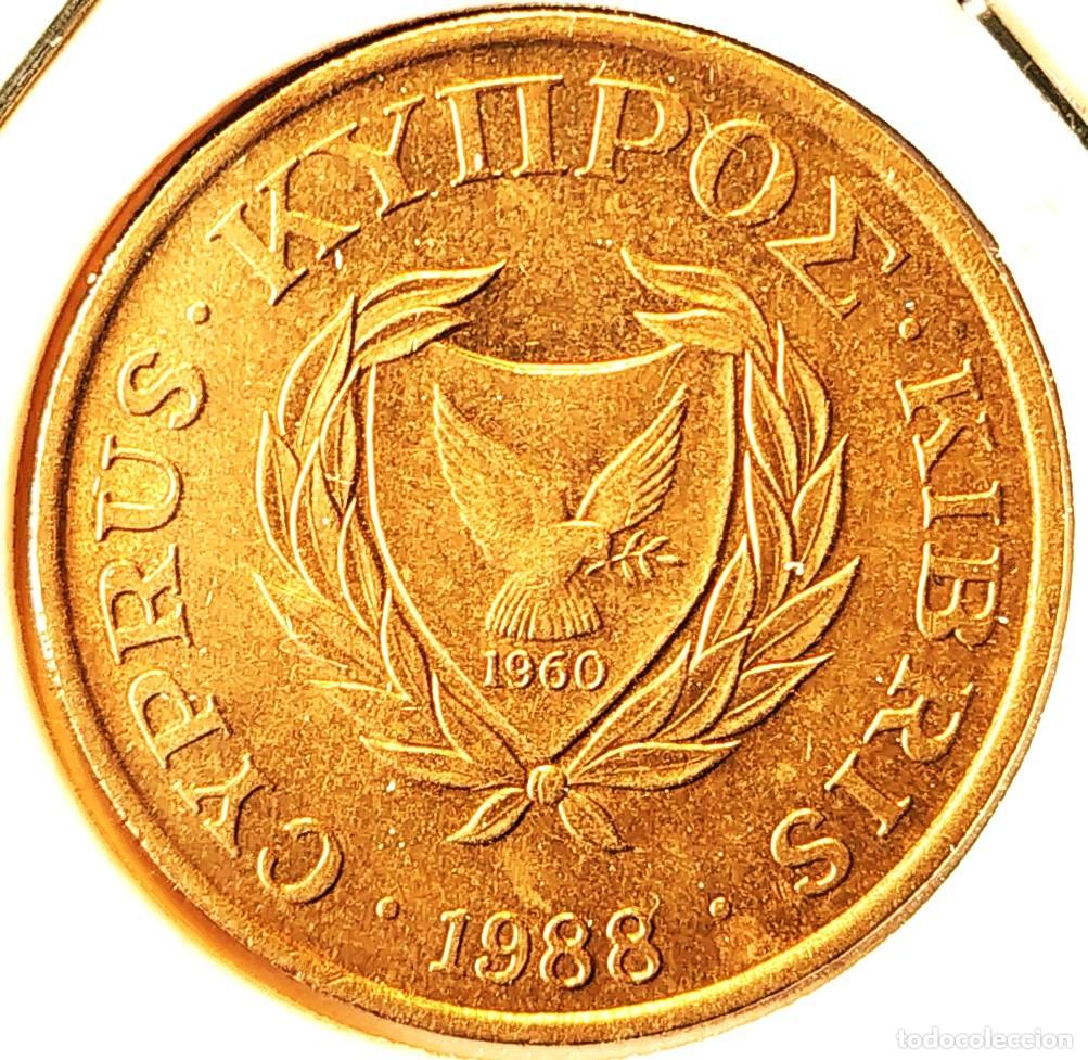 Monedas antiguas de Europa: CHIPRE (1983-2007) - 5 CENTAVOS 1988 - REPUBLICA DE CHIPRE - A - 3,80 GR. NICKEL-LATON - DIAMETRO 22