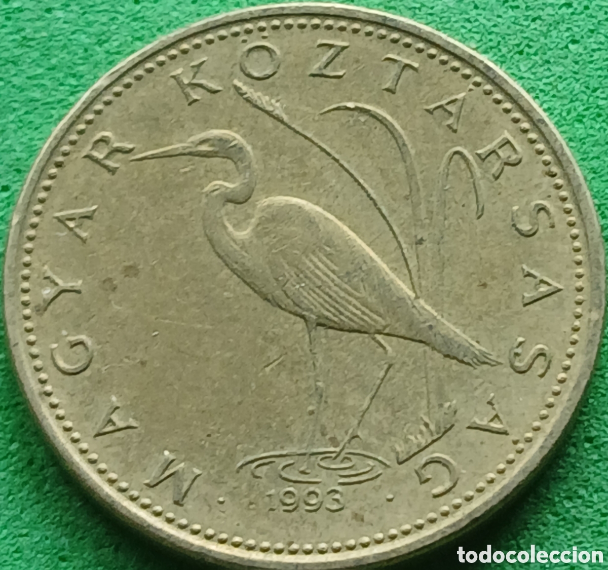 Monedas antiguas de Europa: Hungr&iacute;a 5 forint 1993 km#694