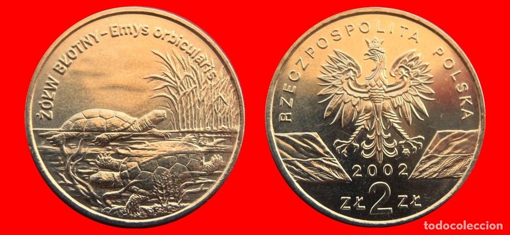 Monedas antiguas de Europa: 2 ZLOTE ZLOTY 2002 POLONIA-144280