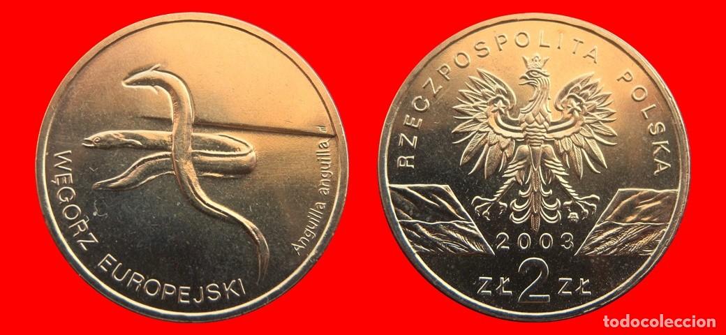 Monedas antiguas de Europa: 2 ZLOTE ZLOTY 2003 POLONIA-144287