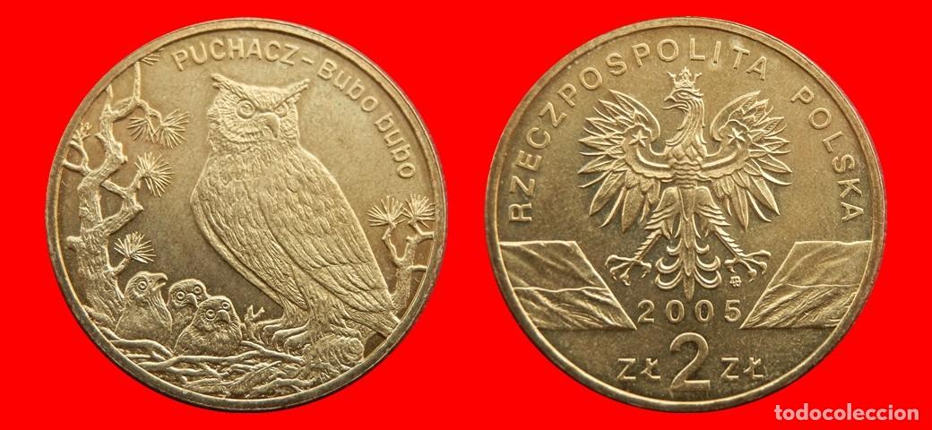 Monedas antiguas de Europa: 2 ZLOTE ZLOTY 2005 POLONIA-144314