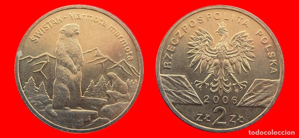 Monedas antiguas de Europa: 2 ZLOTE ZLOTY 2006 POLONIA-144346