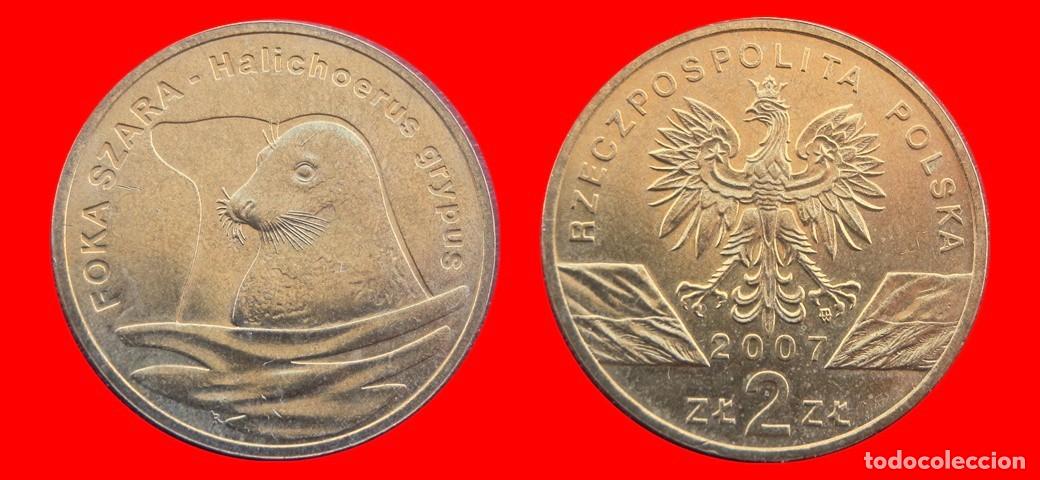 Monedas antiguas de Europa: 2 ZLOTE ZLOTY 2007 POLONIA-144360