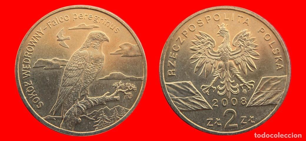 Monedas antiguas de Europa: 2 ZLOTE ZLOTY 2008 POLONIA-144369