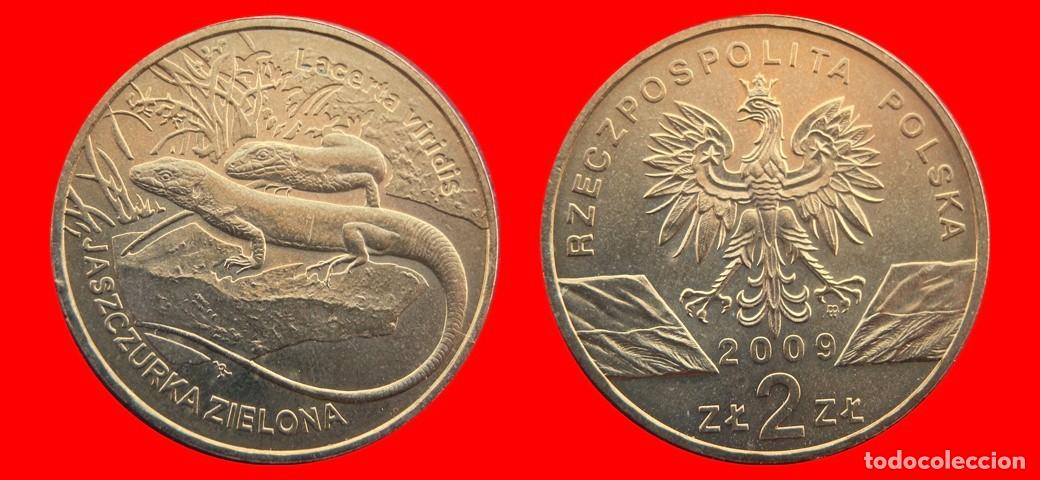 Monedas antiguas de Europa: 2 ZLOTE ZLOTY 2009 POLONIA-144379