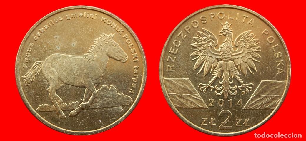 Monedas antiguas de Europa: 2 ZLOTE ZLOTY 2014 POLONIA-144417