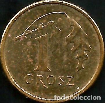 Monedas antiguas de Europa: POLONIA 2008 - 1 GROSZ - Y 276 - CIRCULADA