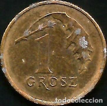 Monedas antiguas de Europa: POLONIA 2011 - 1 GROSZ - Y 276 - CIRCULADA
