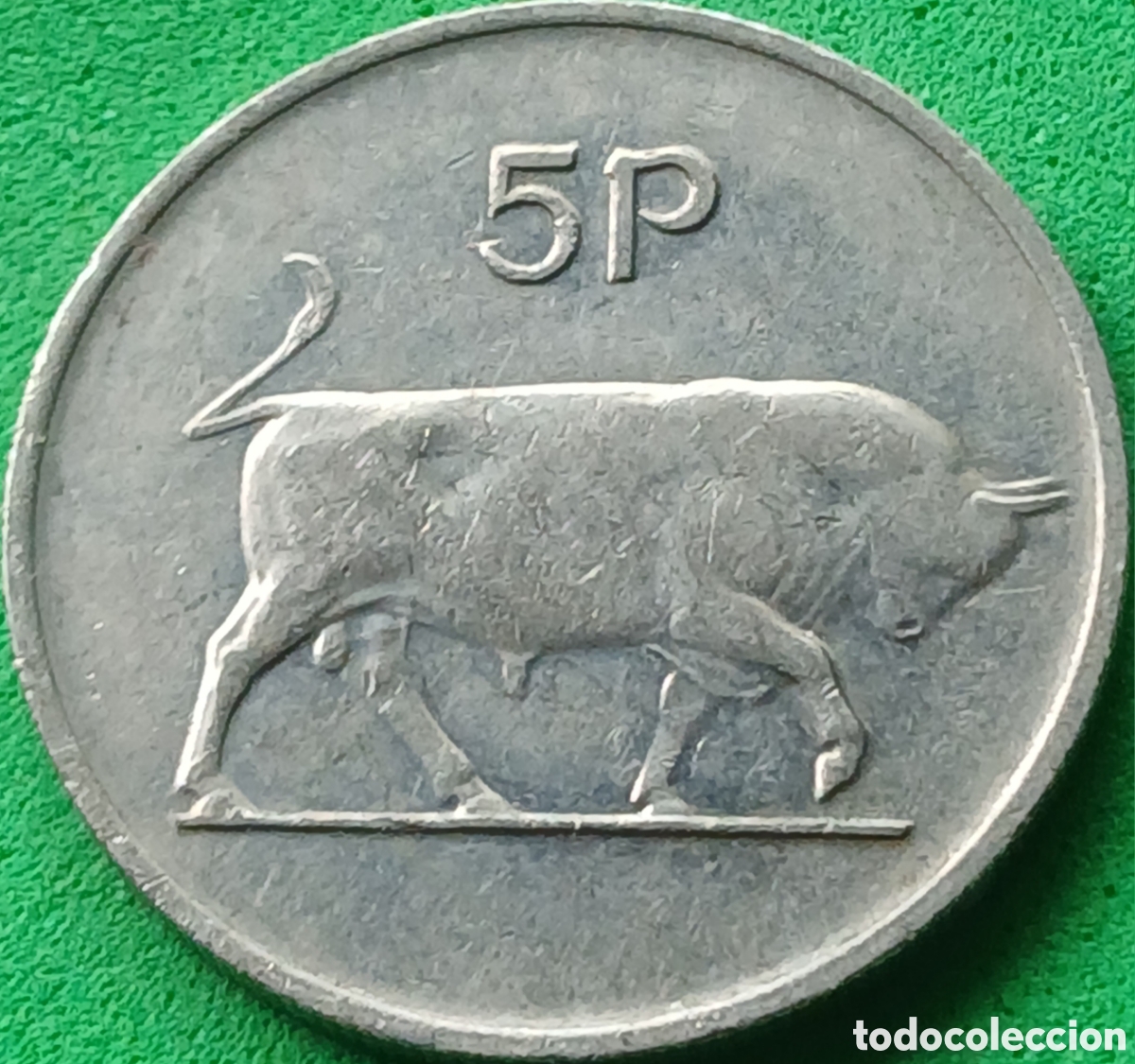 Monedas antiguas de Europa: Irlanda 5 peniques 1982 km#22