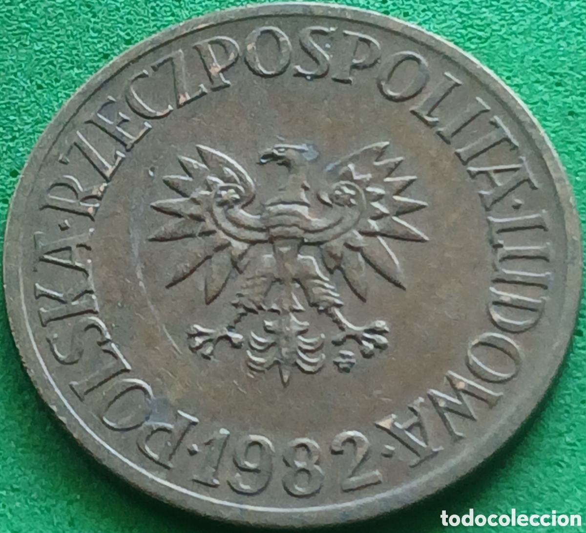 Monedas antiguas de Europa: Polonia 5 zlotych 1982 Y#81.1