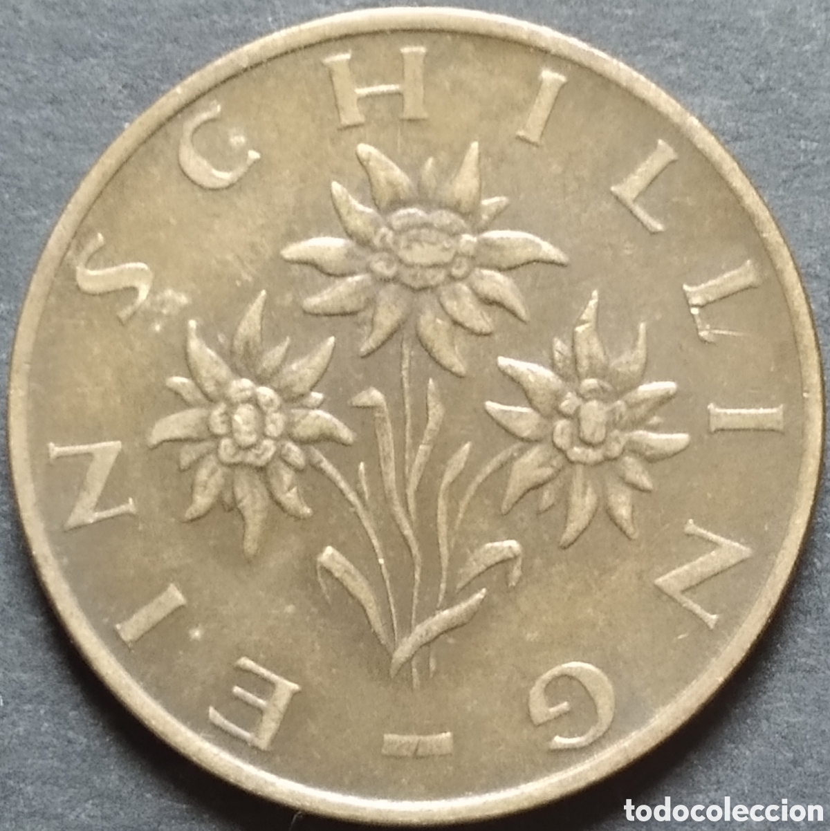 Monedas antiguas de Europa: MONEDA - AUSTRIA 1 CHEL&Iacute;N 1981 - Foto 2