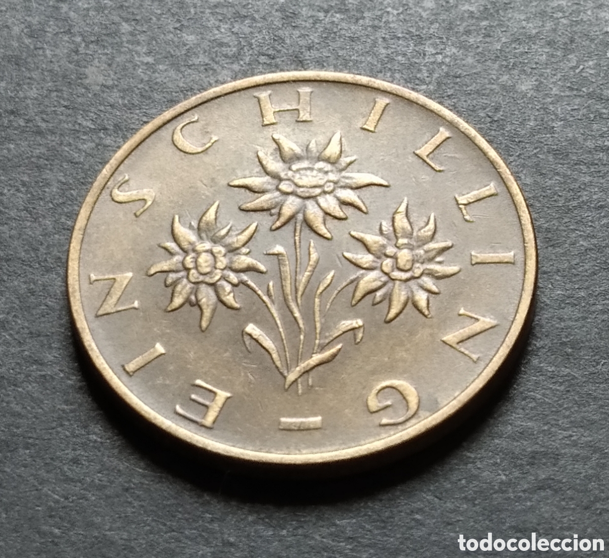Monedas antiguas de Europa: MONEDA - AUSTRIA 1 CHEL&Iacute;N 1981 - Foto 4