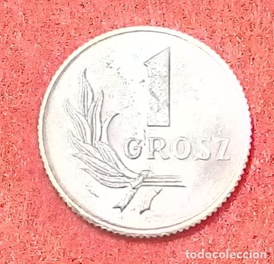 Monedas antiguas de Europa: MONEDA DE POLONIA 1949 - 1 GROSZ - ALUMINIO