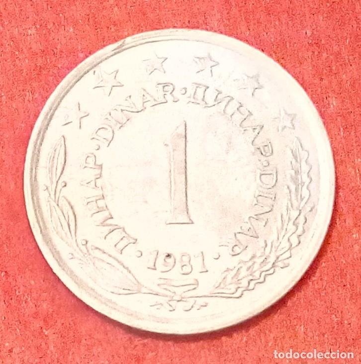 Monedas antiguas de Europa: MONEDA DE YUGOSLAVIA 1981 - 1 DINAR - COBRE-N&Iacute;QUEL-ZINC
