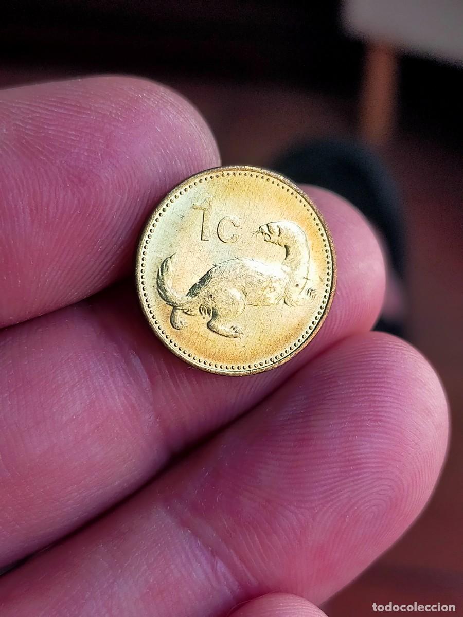 Monedas antiguas de Europa: MONEDA DE 1 UN CENTS CENTAVOS CENTIMOS MALTA 1995 MUY BUENA CONSERVACION