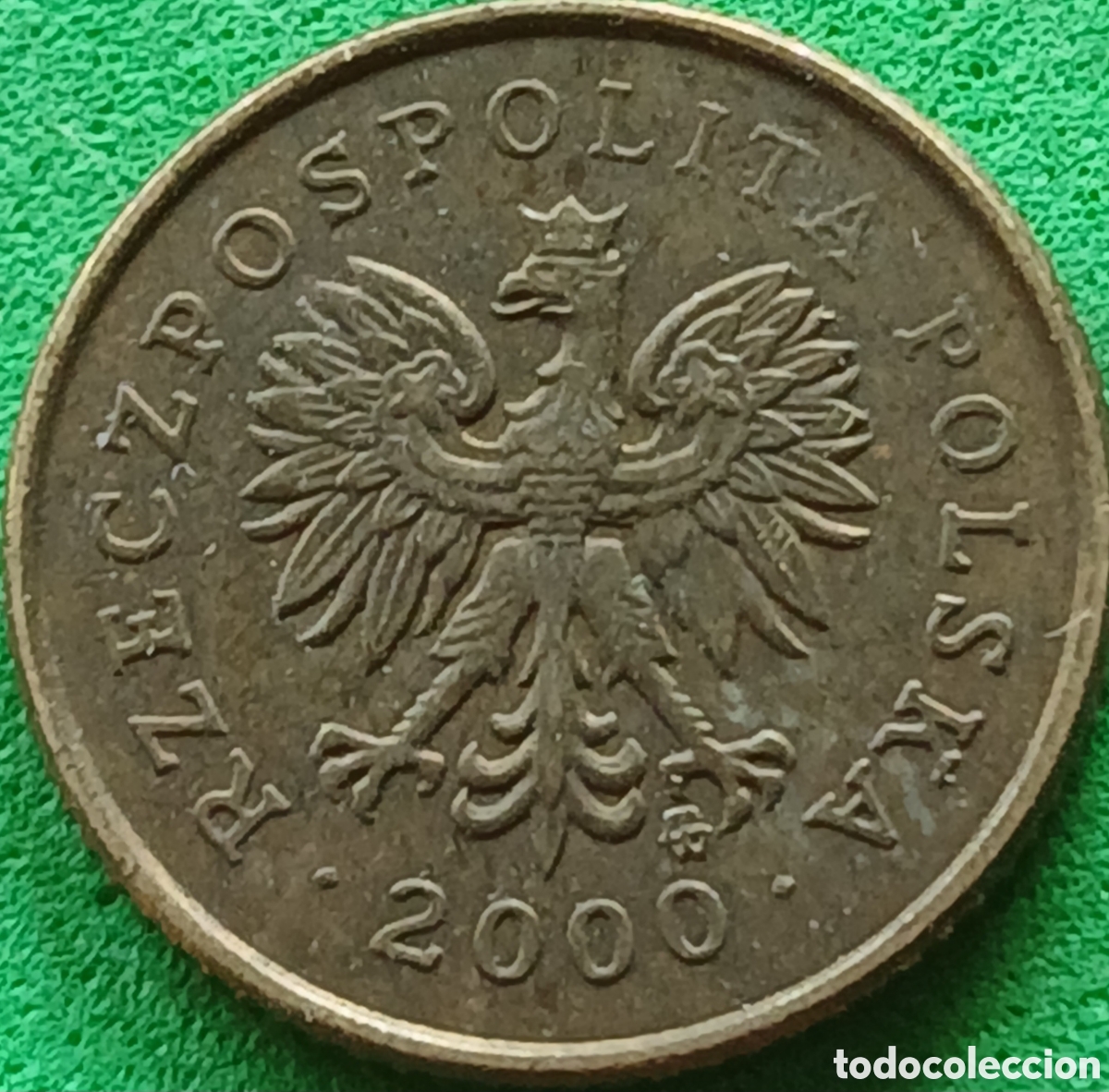 Monedas antiguas de Europa: Polonia 1 grosz 2000 Y#276