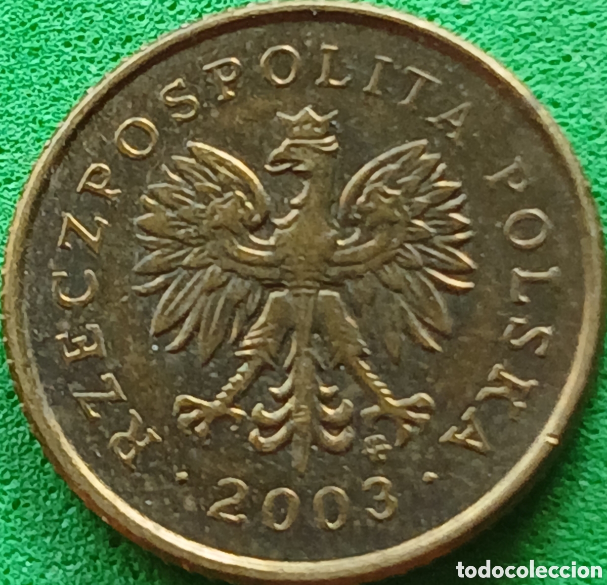 Monedas antiguas de Europa: Polonia 1 grosz 2003 Y#276