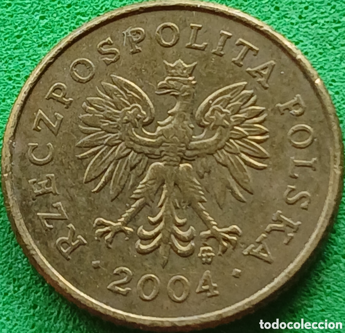 Monedas antiguas de Europa: Polonia 1 grosz 2004 Y#276