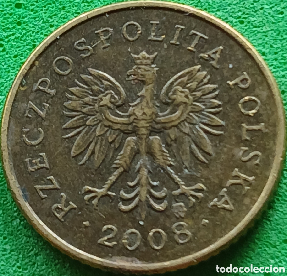 Monedas antiguas de Europa: Polonia 1 grosz 2008 Y#276