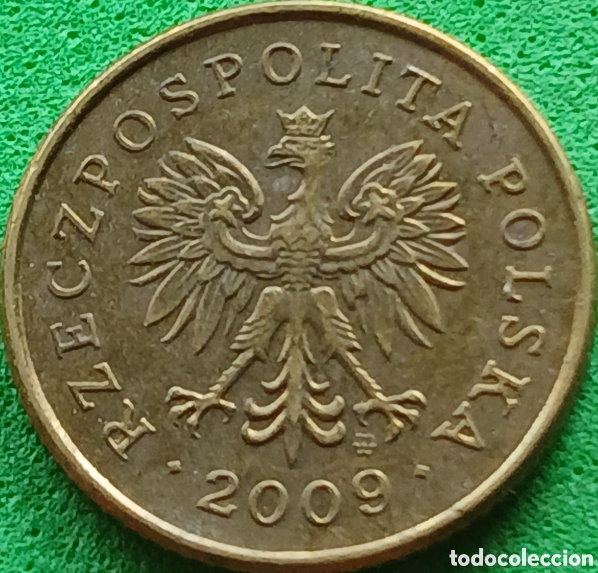 Monedas antiguas de Europa: Polonia 1 grosz 2009 Y#276