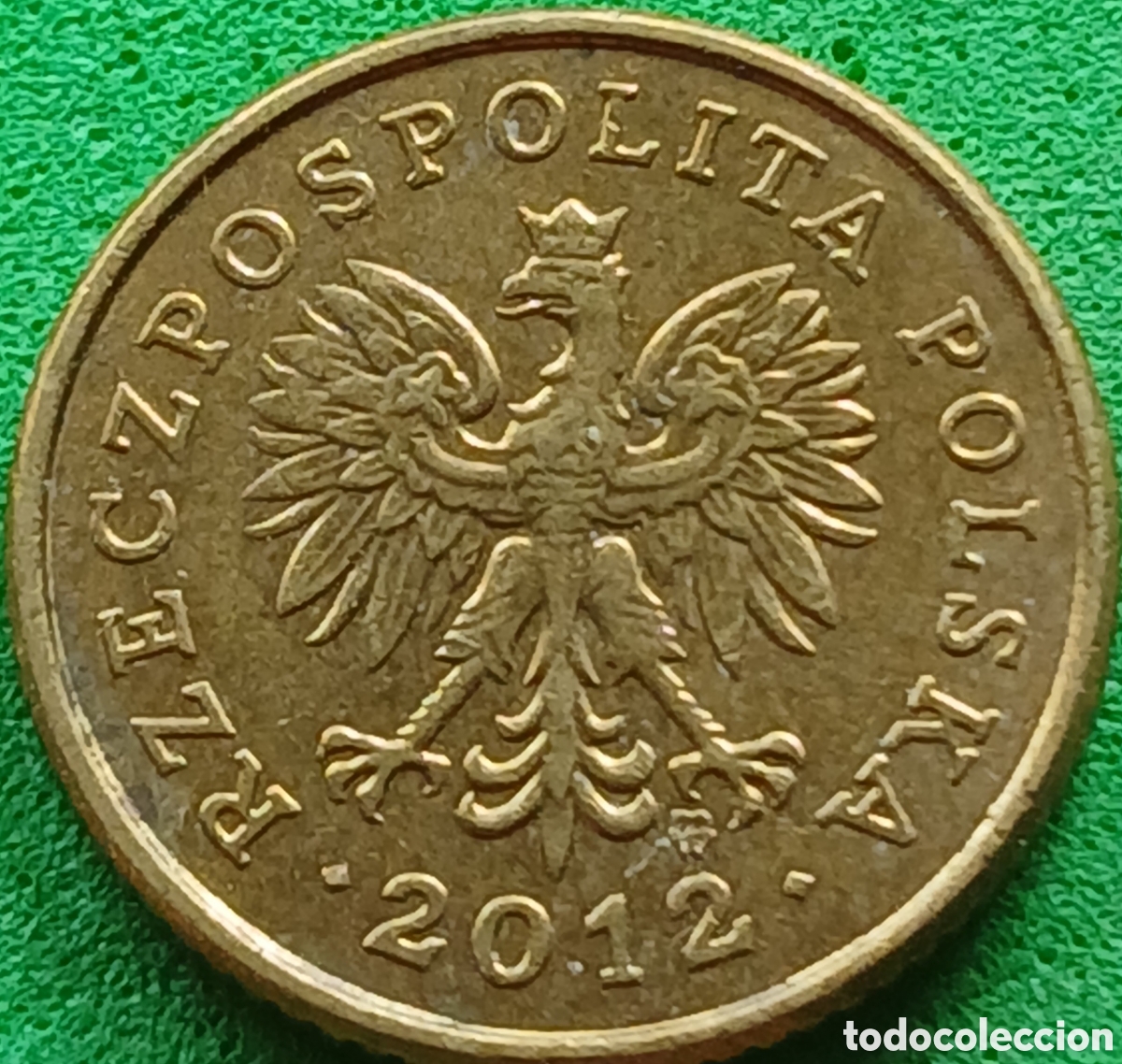 Monedas antiguas de Europa: Polonia 1 grosz 2012 Y#276