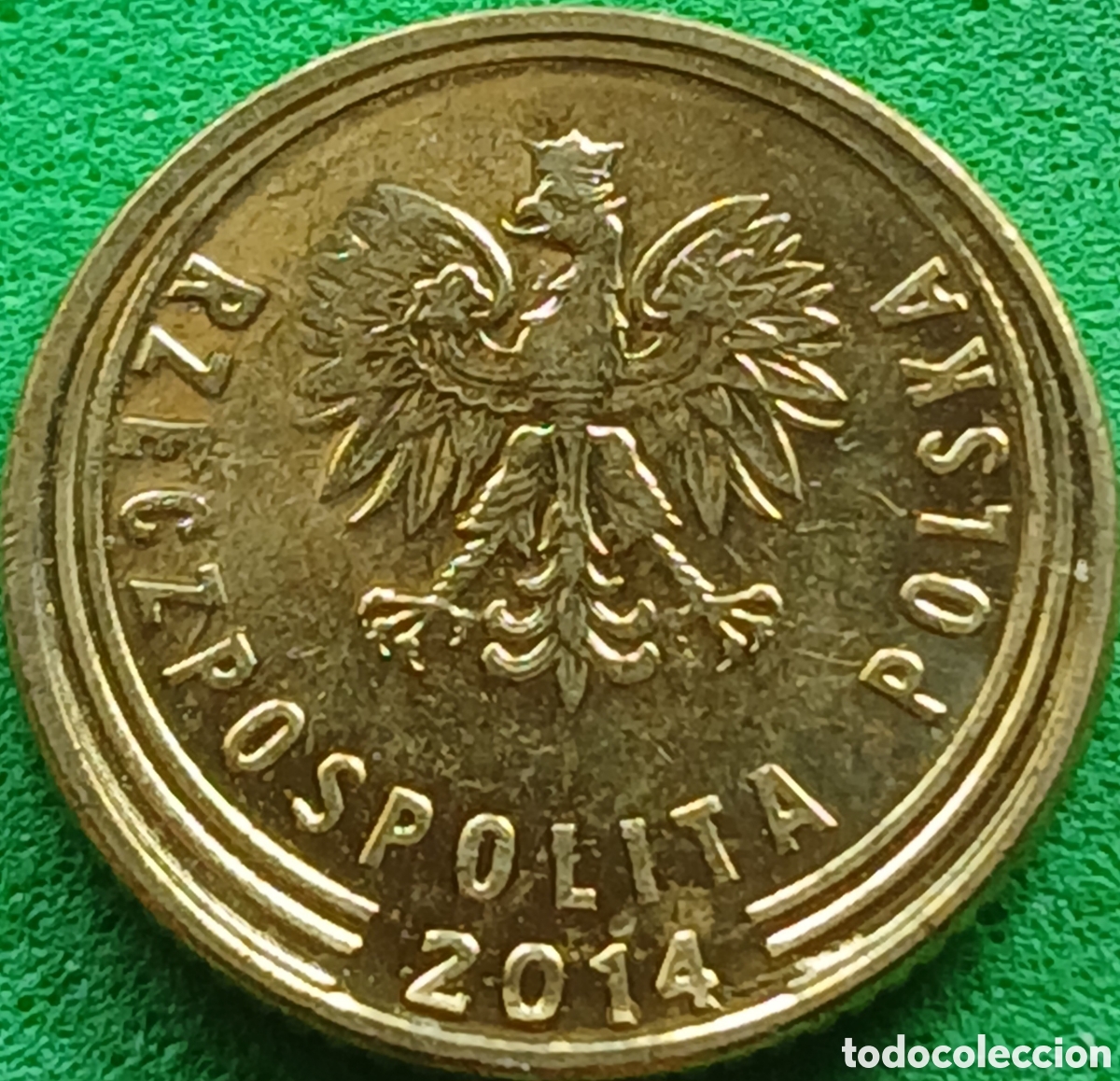 Monedas antiguas de Europa: Polonia 1 grosz 2014 Y#923