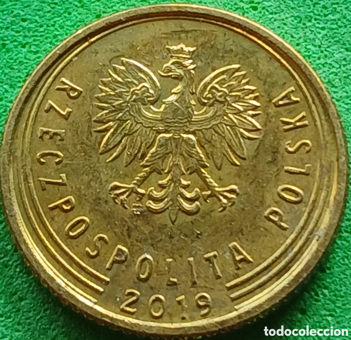 Monedas antiguas de Europa: Polonia 1 grosz 2019 UC#4