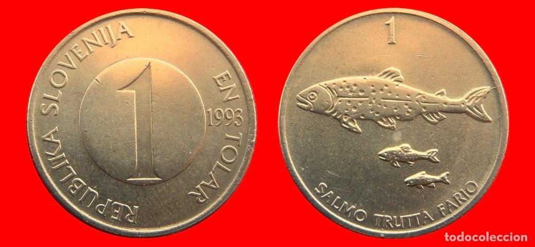 Monedas antiguas de Europa: 1 TOLAR 1993 ESLOVENIA SLOVENIA-144930