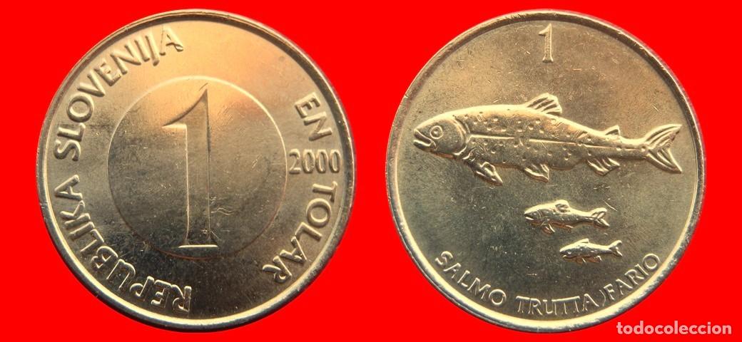 Monedas antiguas de Europa: 1 TOLAR 2000 ESLOVENIA SLOVENIA-144931