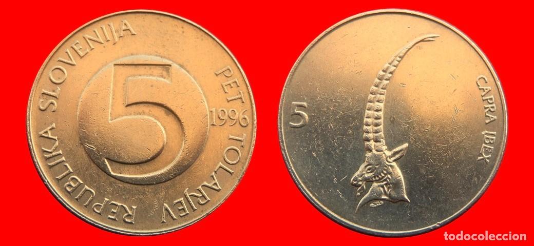 Monedas antiguas de Europa: 5 TOLAR TOLARJEV 1996 ESLOVENIA SLOVENIA-144936