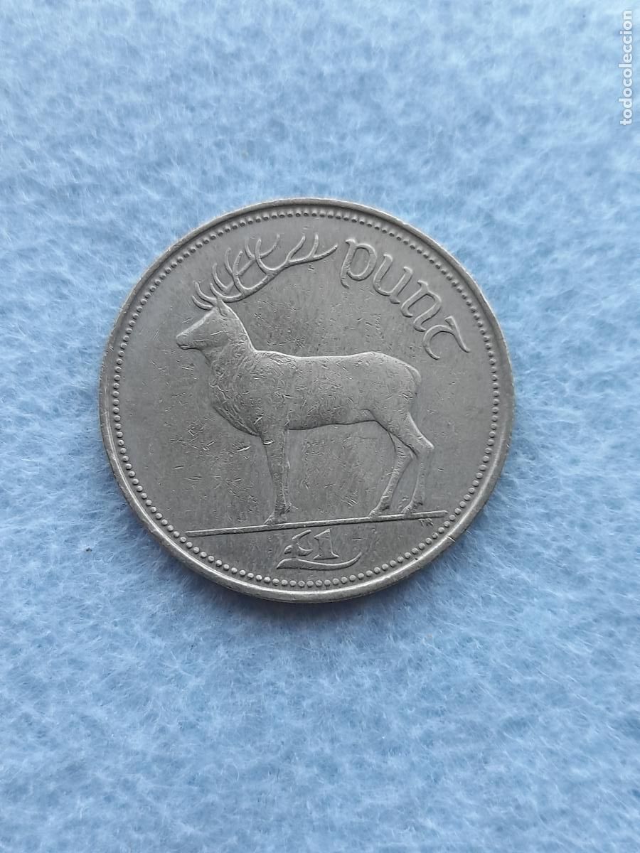 Monedas antiguas de Europa: Irlanda. 1 Libra. A&ntilde;o 1990.