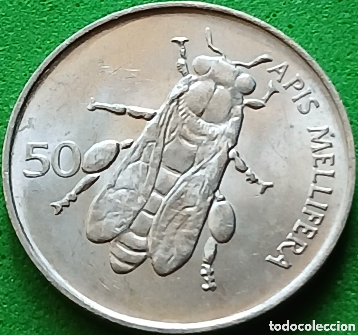 Monedas antiguas de Europa: Eslovenia 50 stotinov 1992 km#3