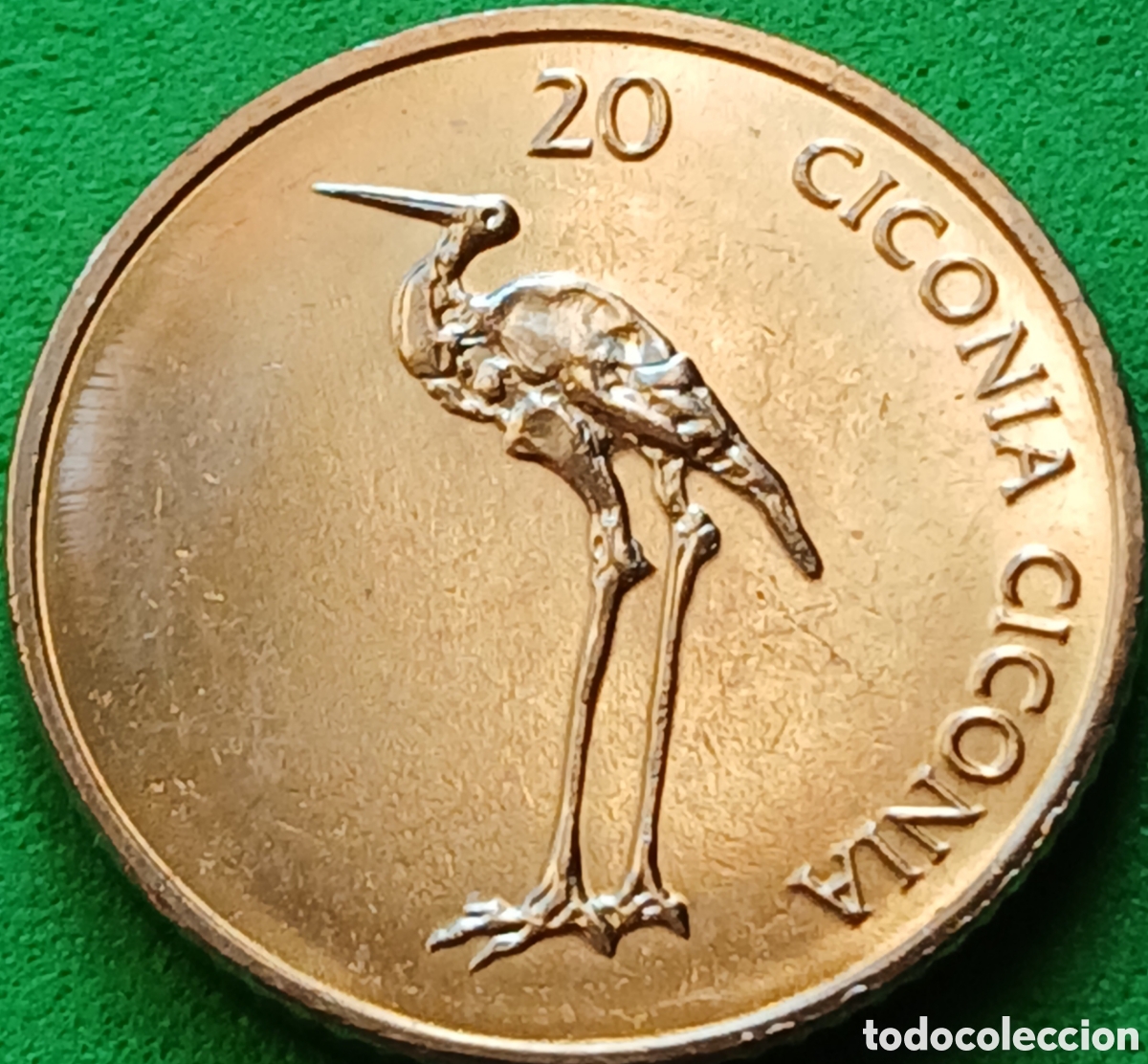 Monedas antiguas de Europa: Eslovenia 20 tolarjev 2006 km#51