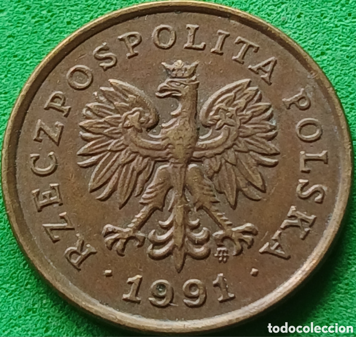 Monedas antiguas de Europa: Polonia 5 groszy 1991 Y#278