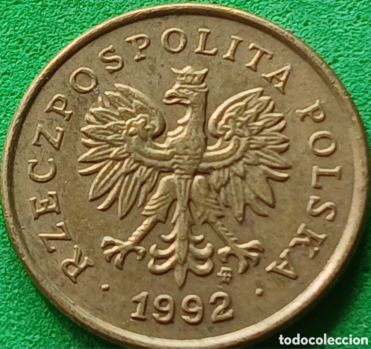 Monedas antiguas de Europa: Polonia 5 groszy 1992 Y#278