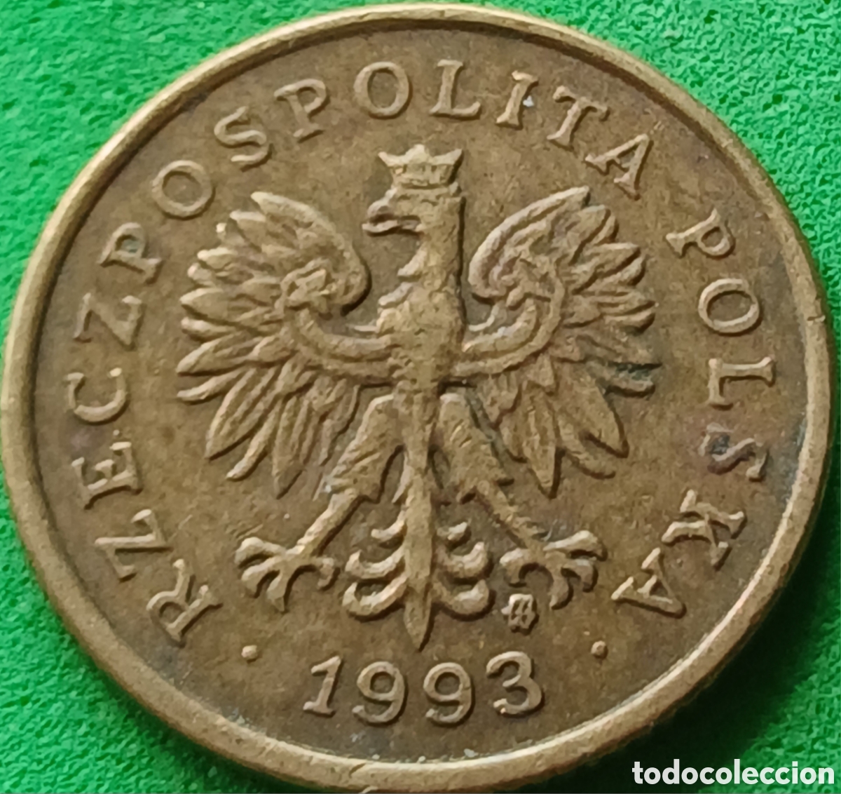Monedas antiguas de Europa: Polonia 5 groszy 1993 Y#278