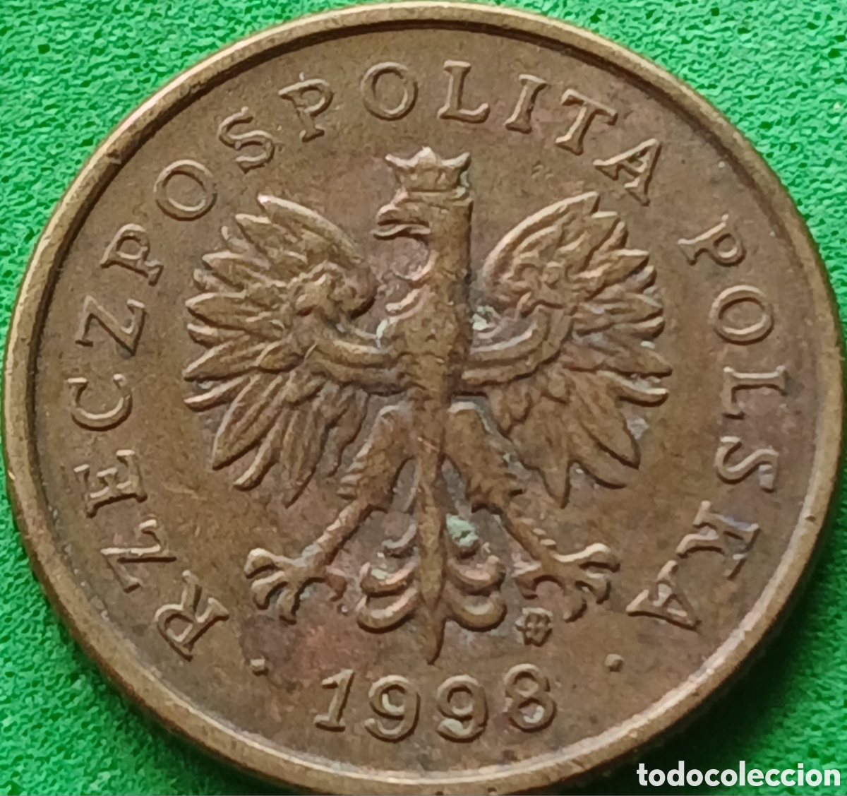 Monedas antiguas de Europa: Polonia 5 groszy 1998 Y#278
