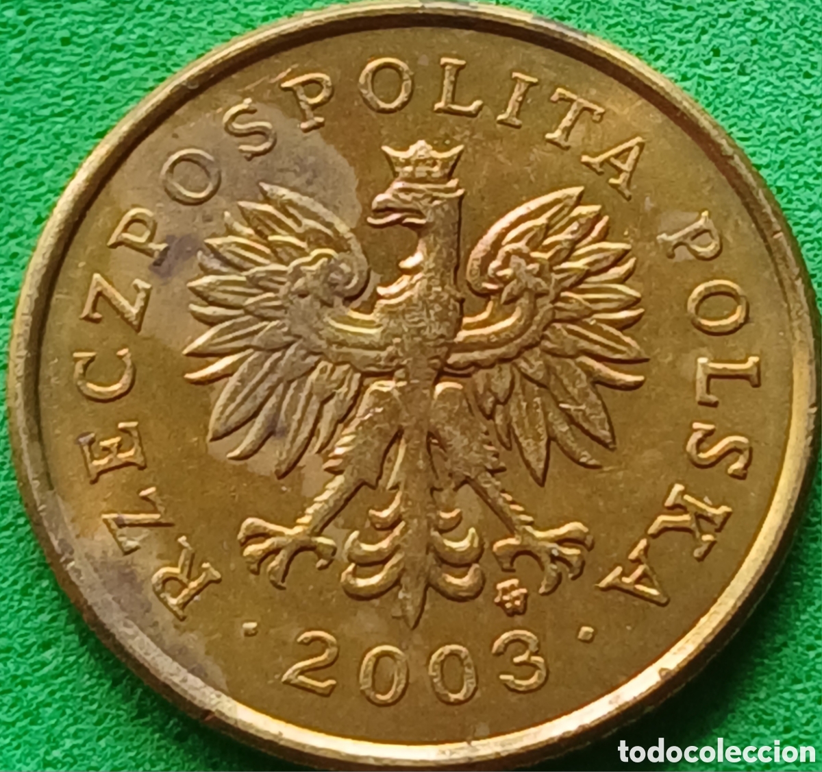 Monedas antiguas de Europa: Polonia 5 groszy 2003 Y#278
