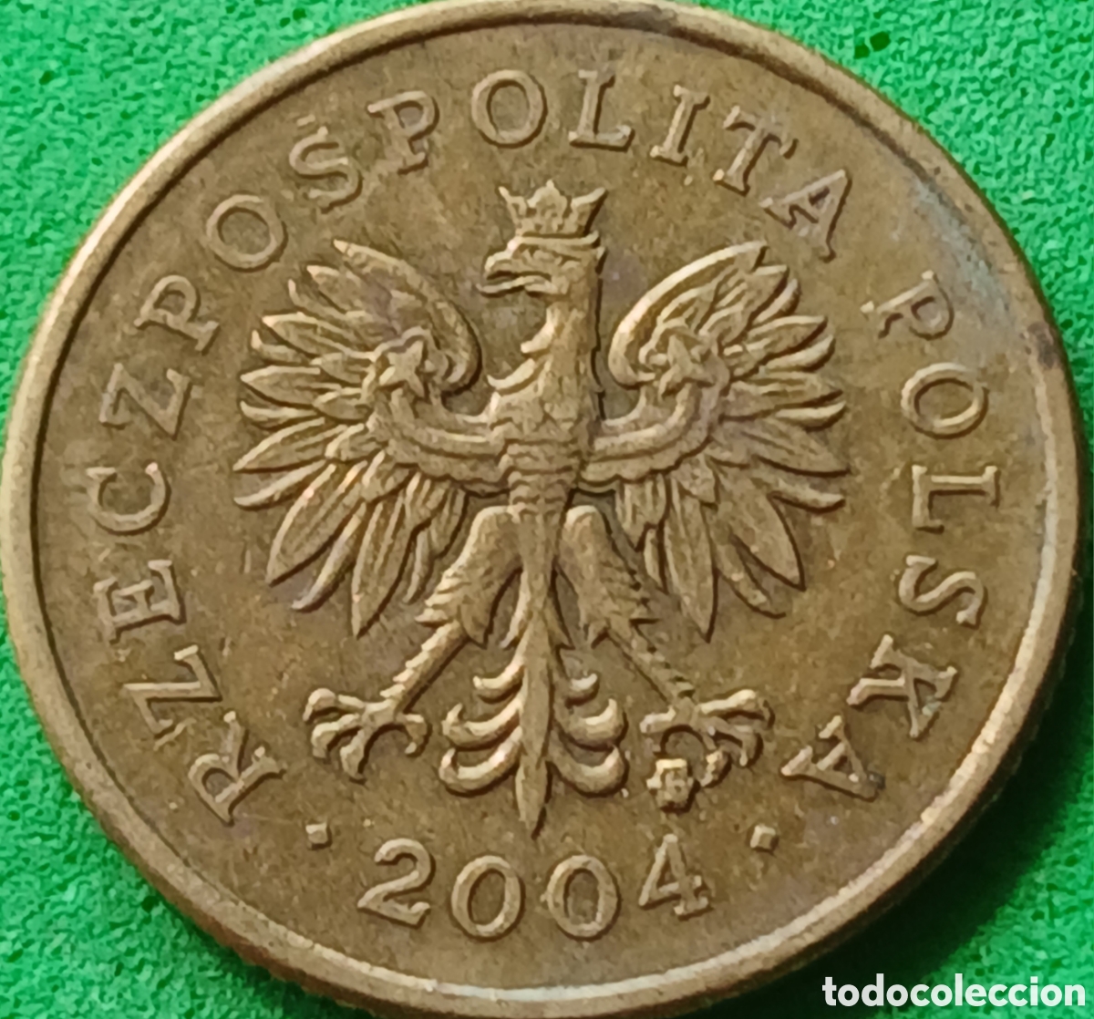 Monedas antiguas de Europa: Polonia 5 groszy 2004 Y#278