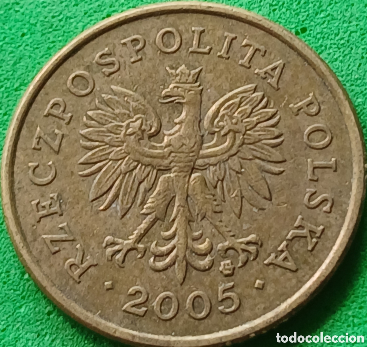 Monedas antiguas de Europa: Polonia 5 groszy 2005 Y#278