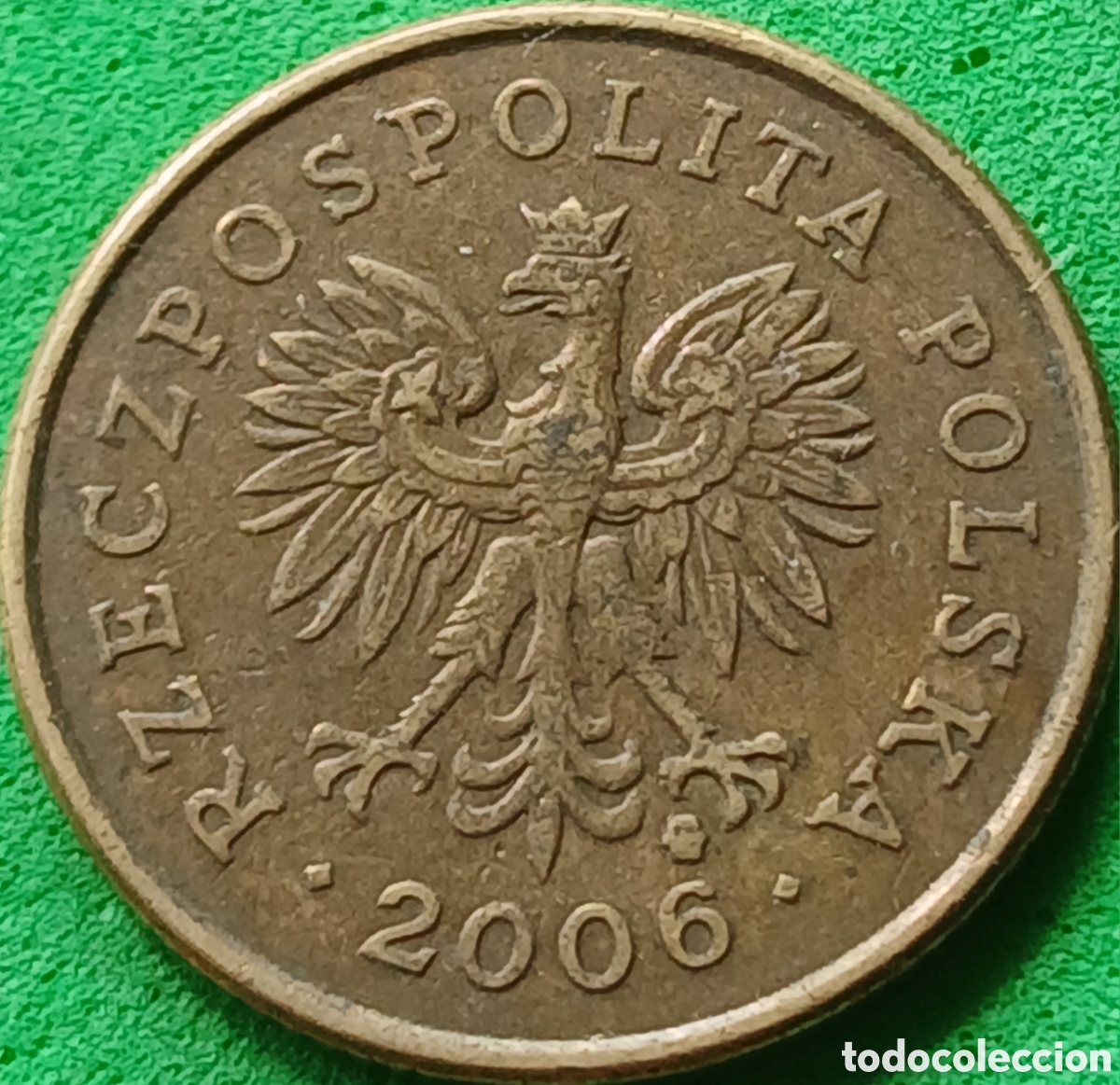 Monedas antiguas de Europa: Polonia 5 groszy 2006 Y#278