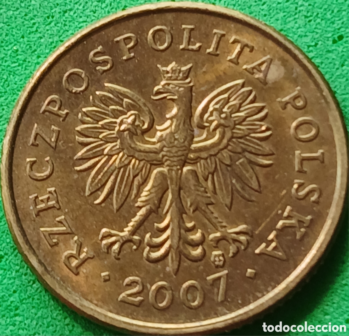 Monedas antiguas de Europa: Polonia 5 groszy 2007 Y#278