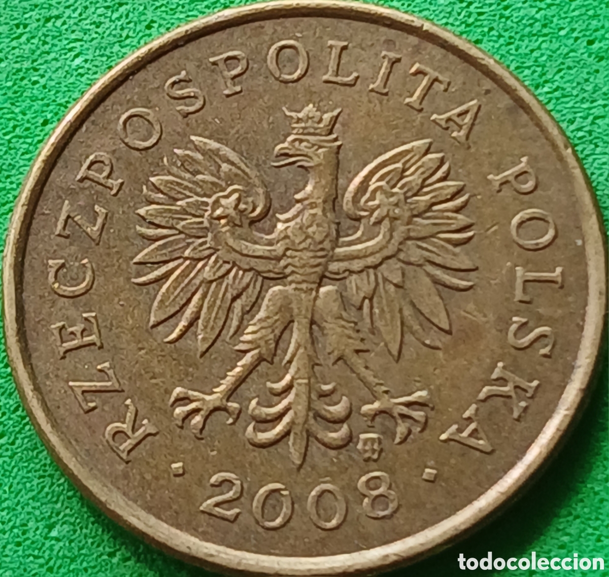 Monedas antiguas de Europa: Polonia 5 groszy 2008 Y#278