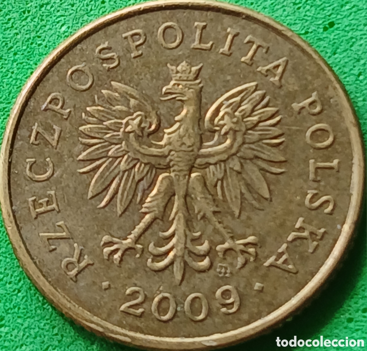 Monedas antiguas de Europa: Polonia 5 groszy 2009 Y#278