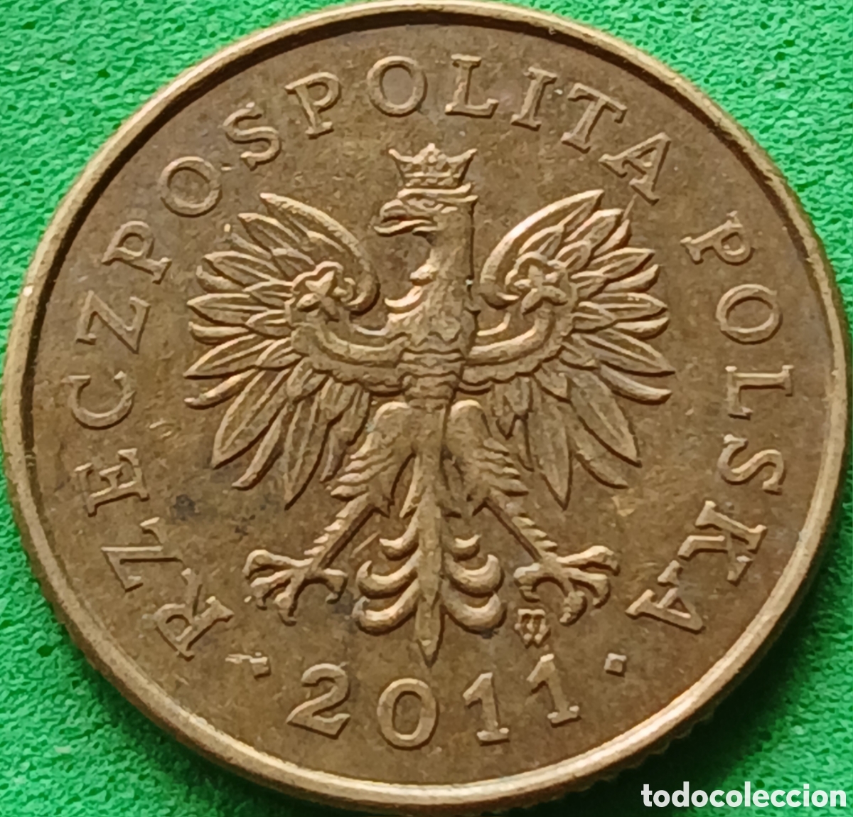 Monedas antiguas de Europa: Polonia 5 groszy 2011 Y#278