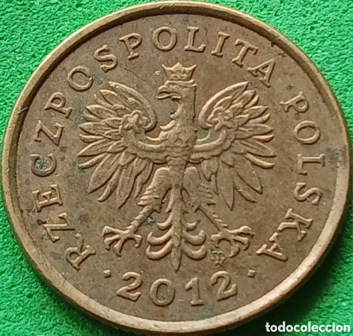 Monedas antiguas de Europa: Polonia 5 groszy 2012 Y#278