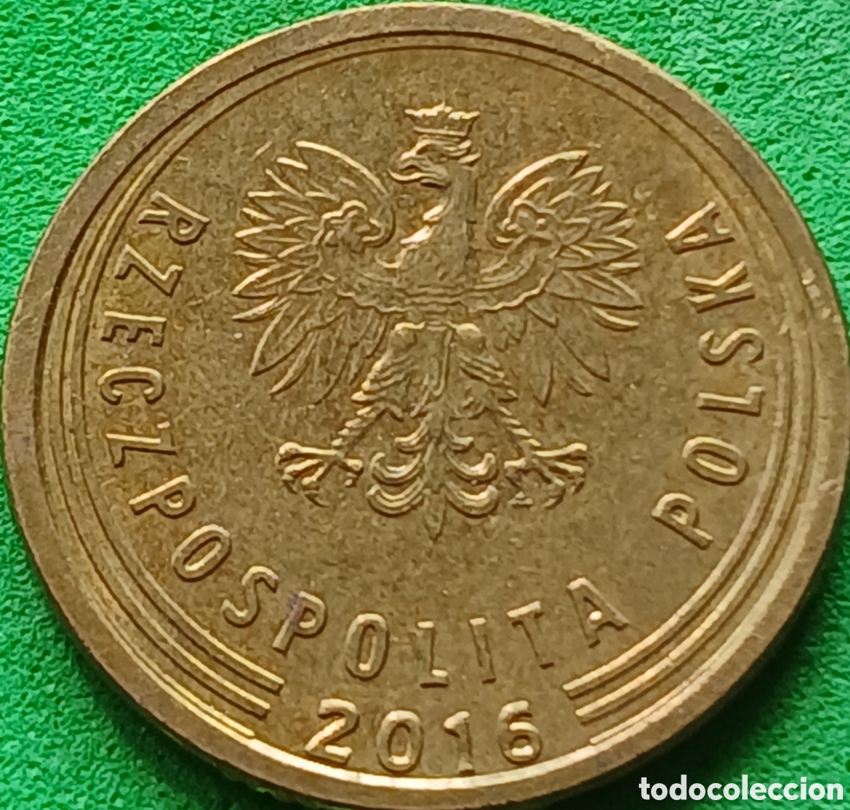 Monedas antiguas de Europa: Polonia 5 groszy 2016 Y#925